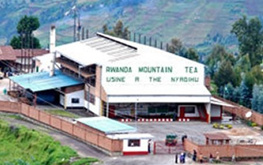 Rwanda Mountain Tea