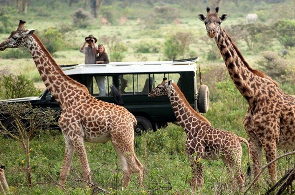 Rwanda safaris